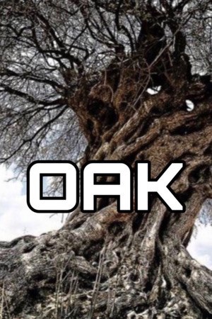 Oak (2024)