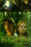 КостяНика. Время лета (2006)