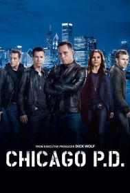 Полиция Чикаго (2014)